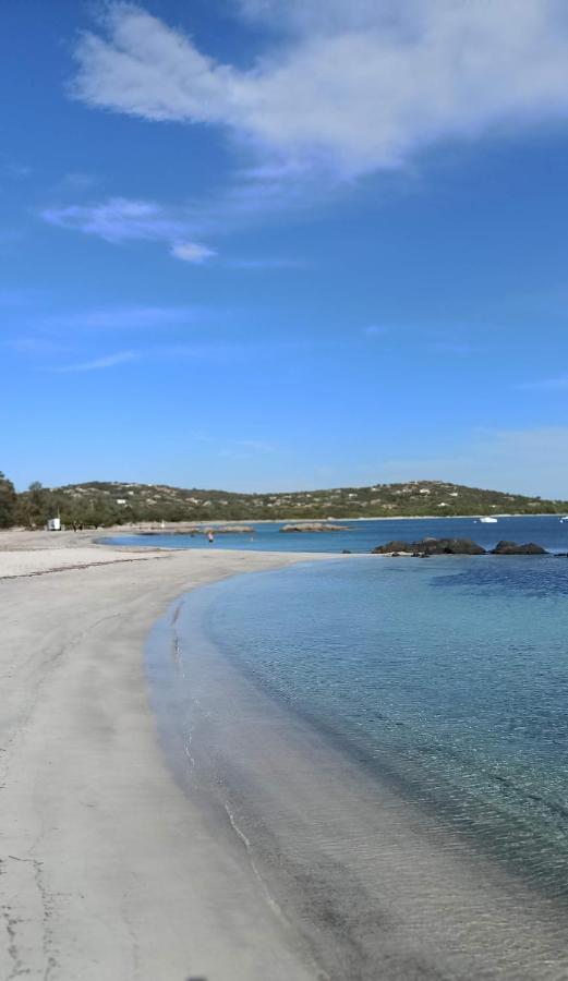 Arca C14 Lägenhet Porto-Vecchio  Exteriör bild