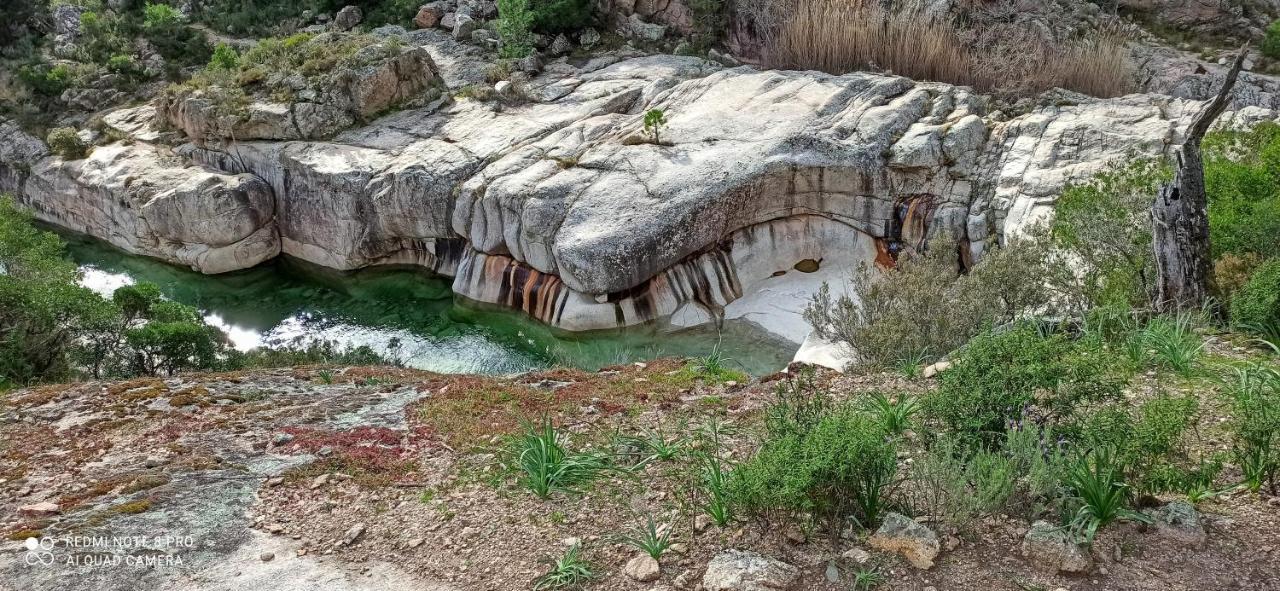 Arca C14 Lägenhet Porto-Vecchio  Exteriör bild